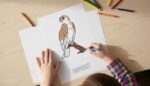 Kids Bird Coloring Book Printable, 66 Birds With Names (Digital Download) - Image 14